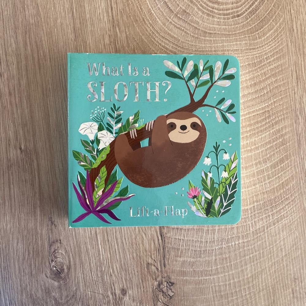 What Is a Sloth Children’s Book